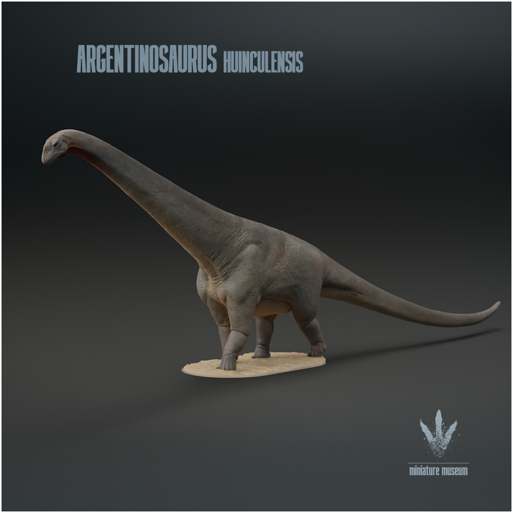 Argentinosaurus huinculensis : The Argentine lizard