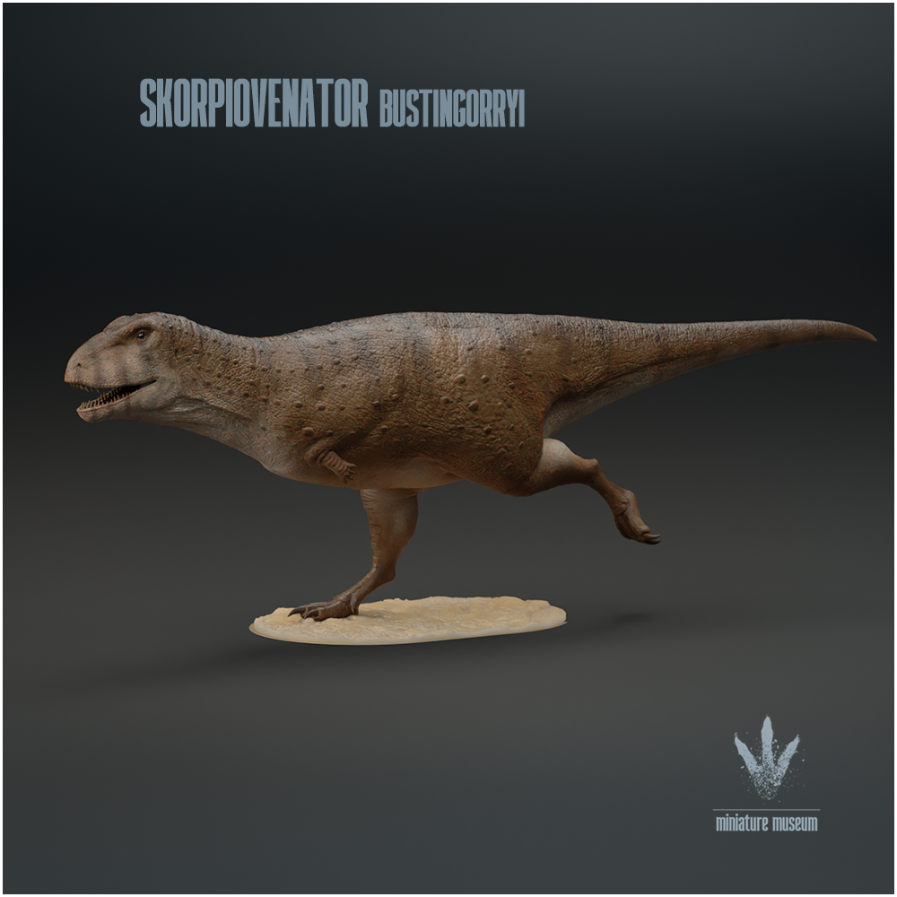 Skorpiovenator bustingorryi : Run