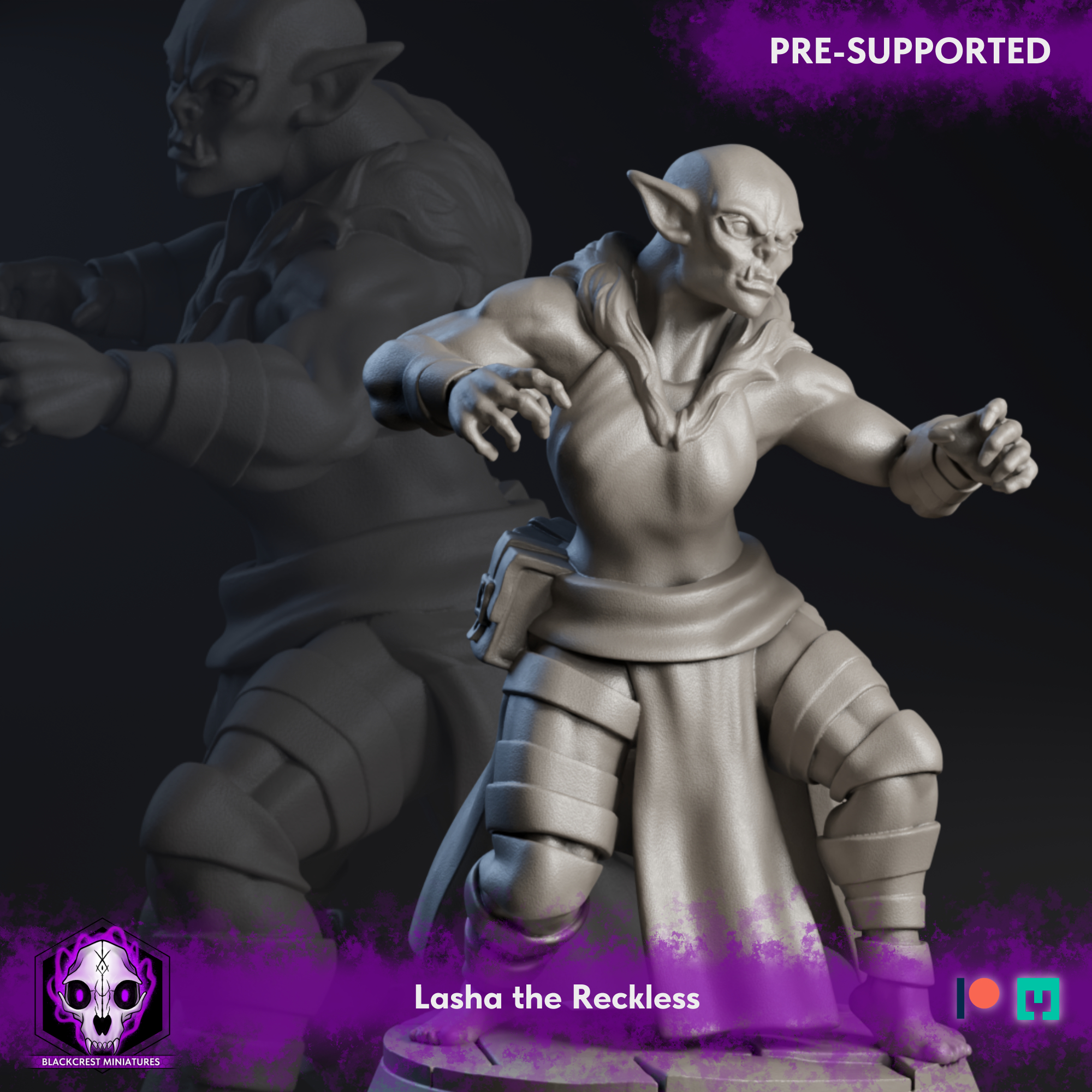 Caelitum Adventurers - Lasha the Reckless