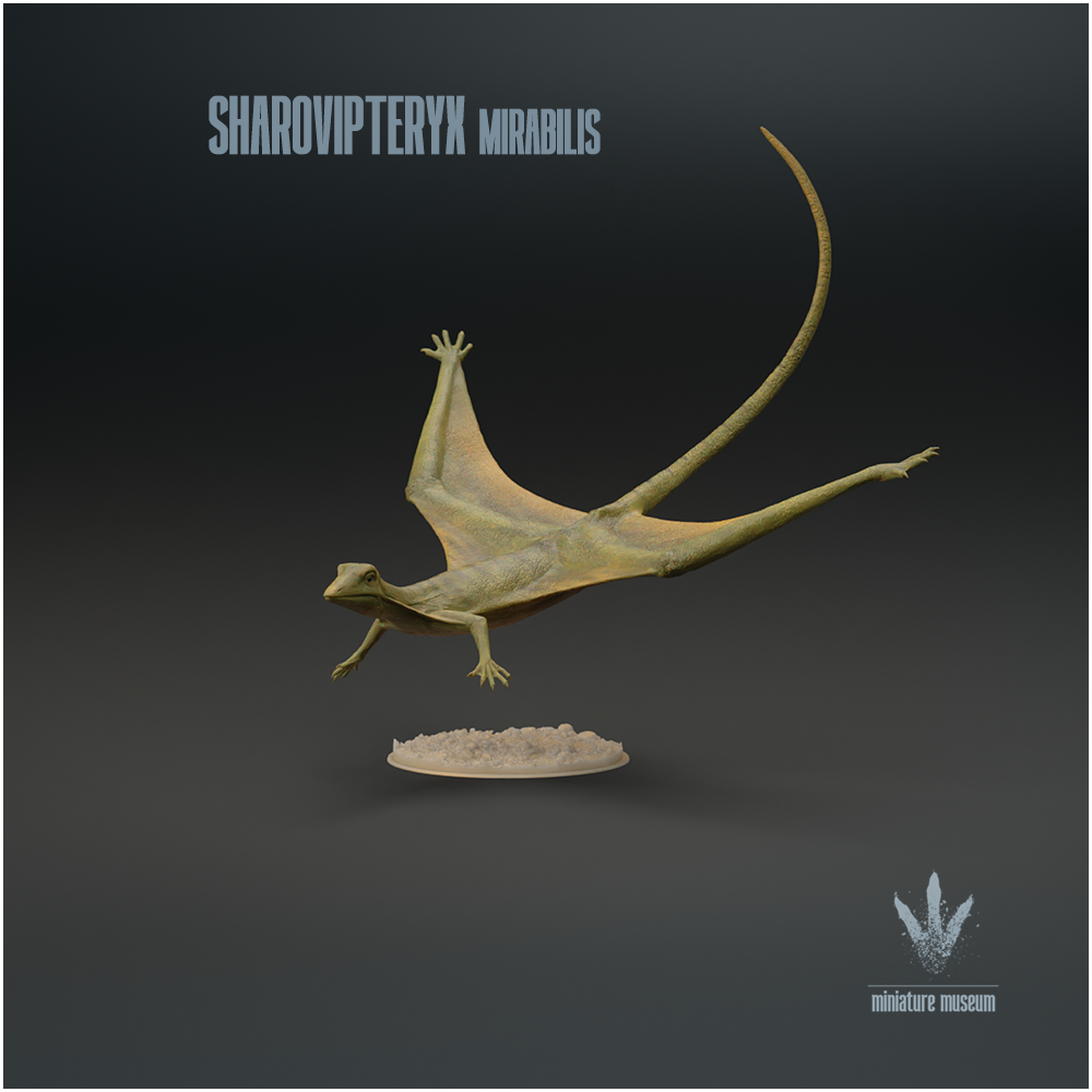 Sharovipteryx mirabilis : The Sharov's wing
