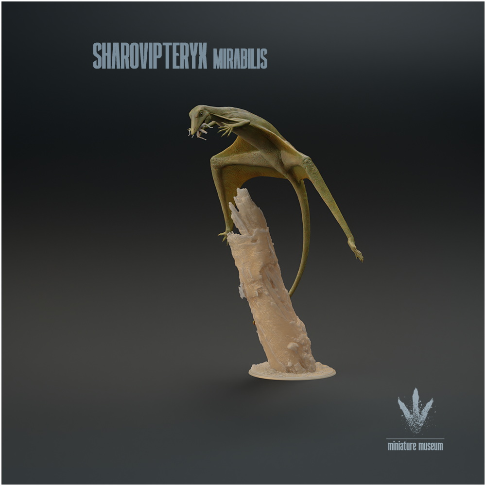 Sharovipteryx mirabilis : Feeding