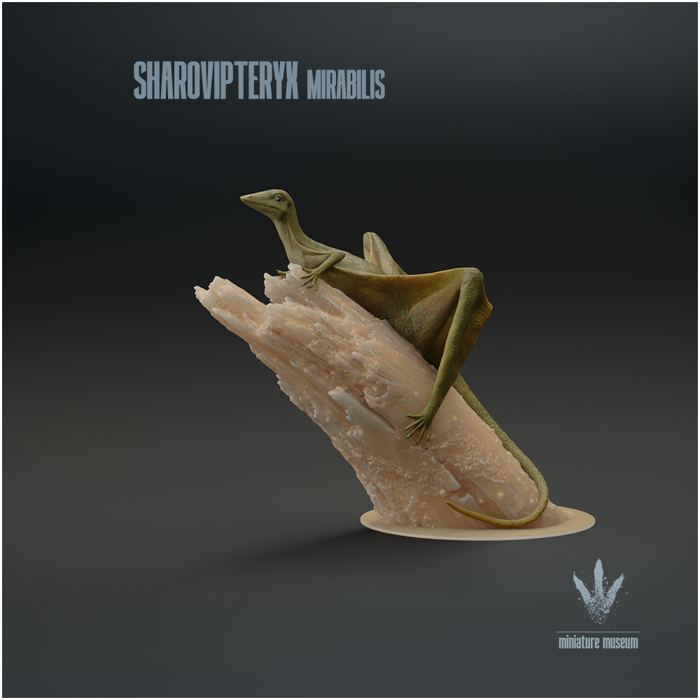 Sharovipteryx mirabilis : Landed