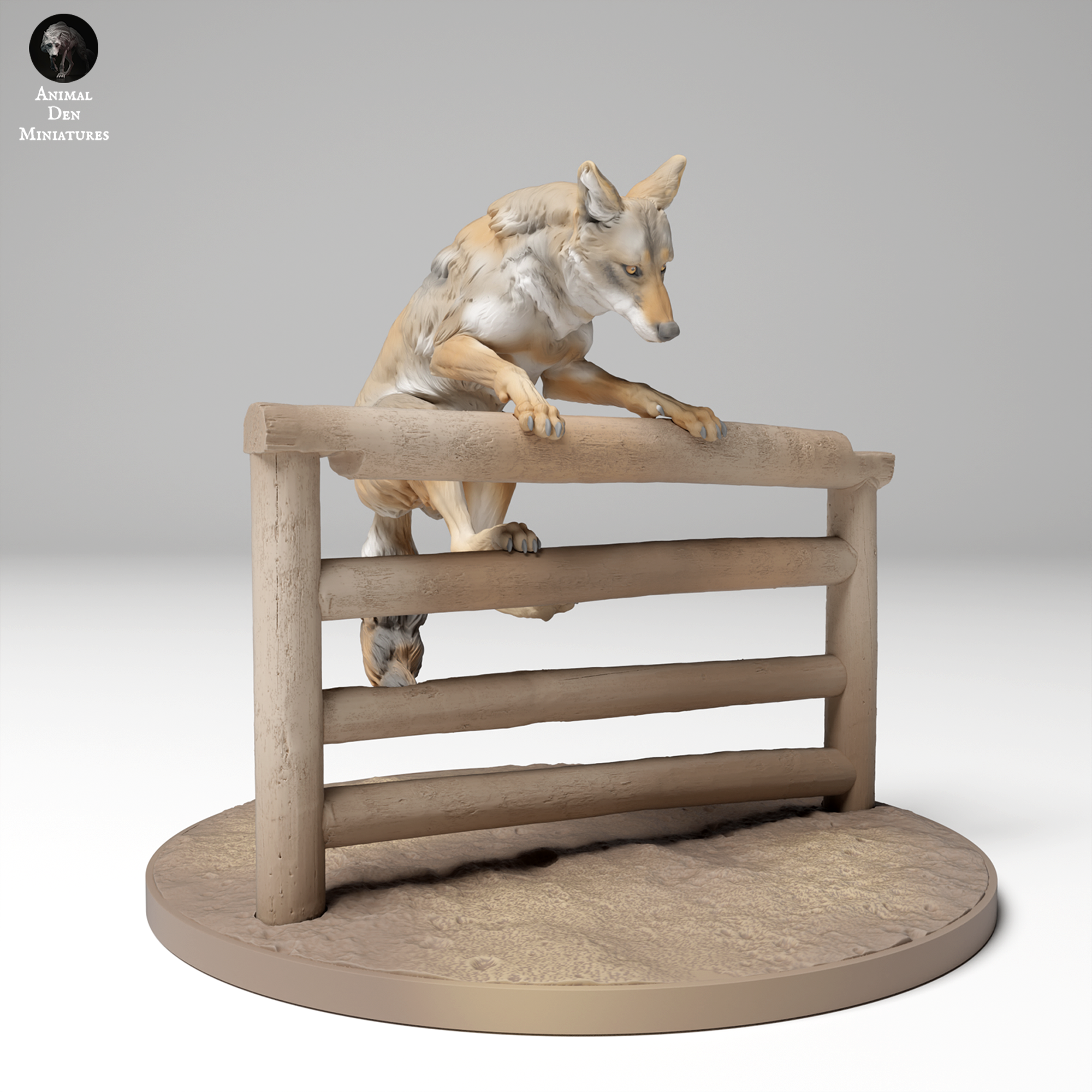 Coyote Jumping Fence