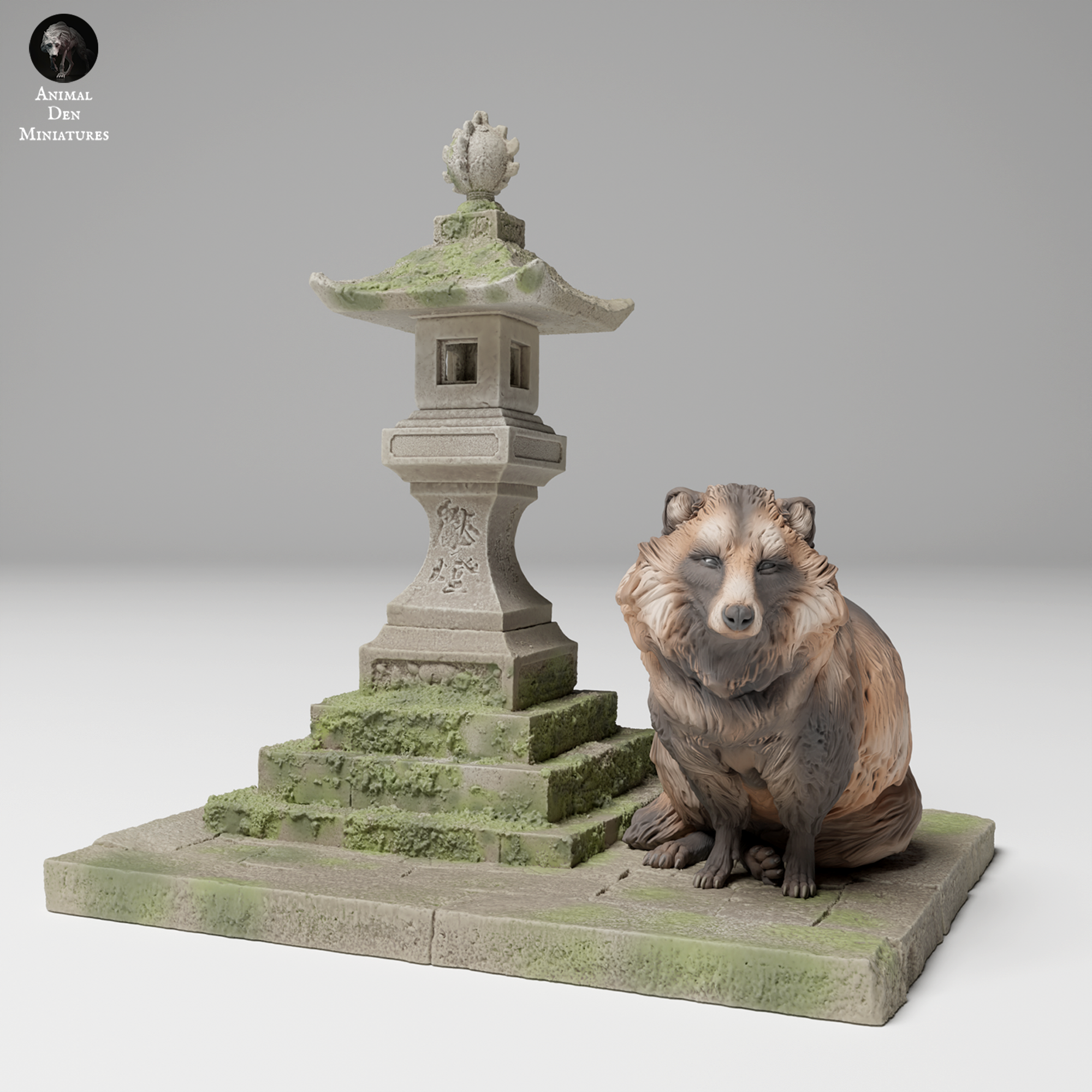 Tanuki Next To Japanese Lanter
