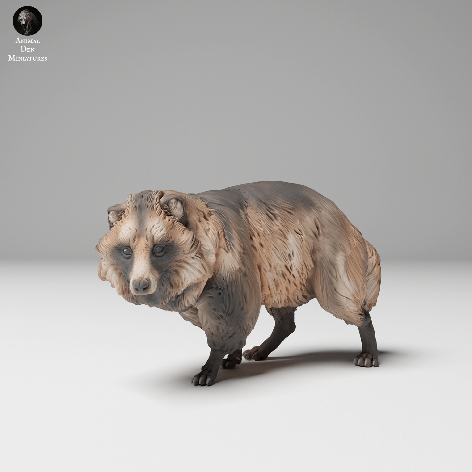 Tanuki (Raccoon Dog)