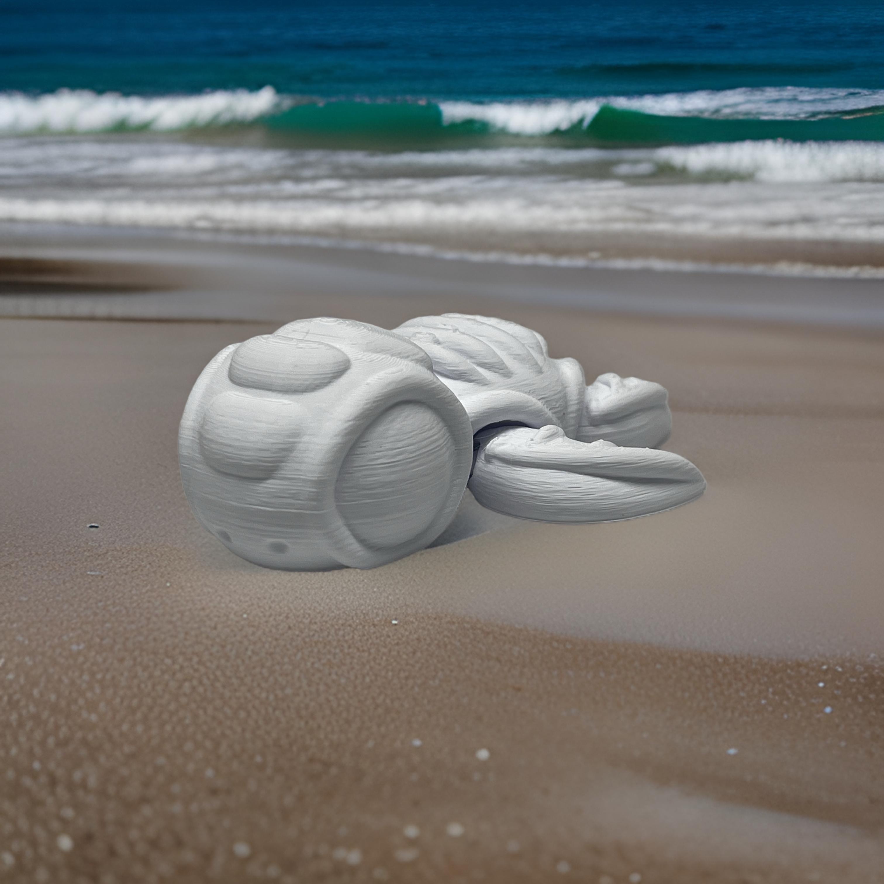 Skelly Turtle