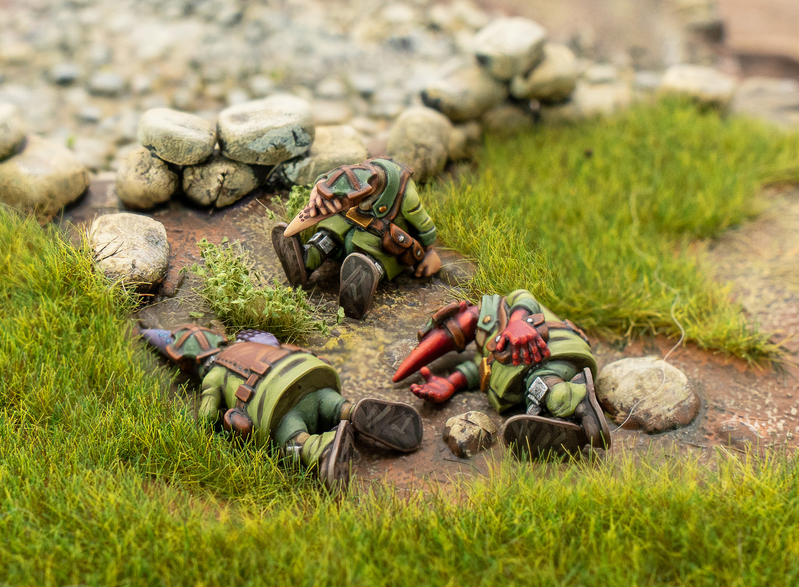 Crusader Casualties