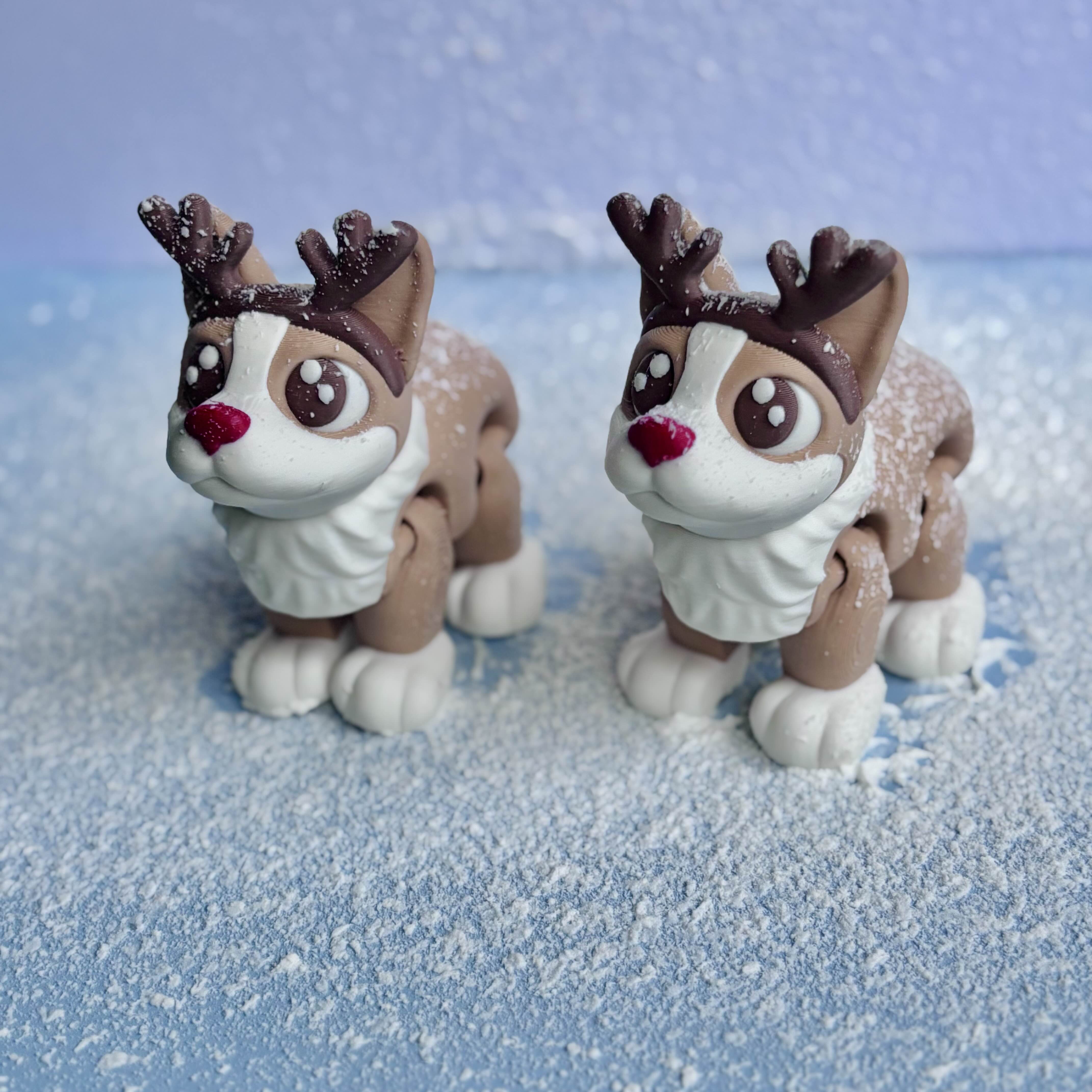 Reindeer Corgi Flexi + Regular Corgi ??