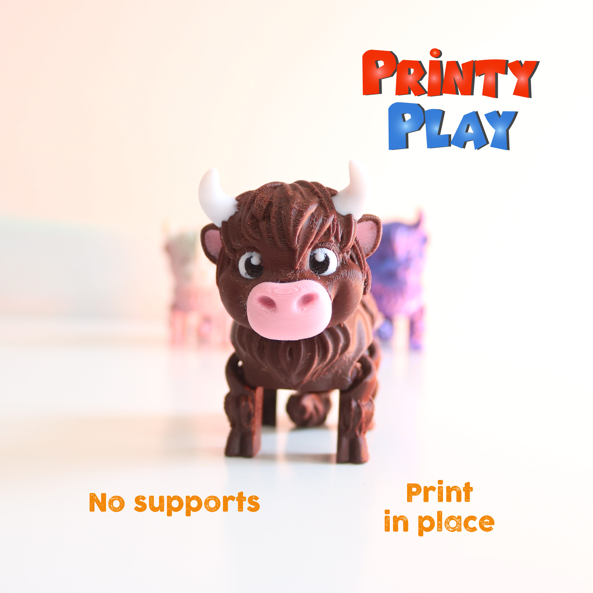 Cute highland cow