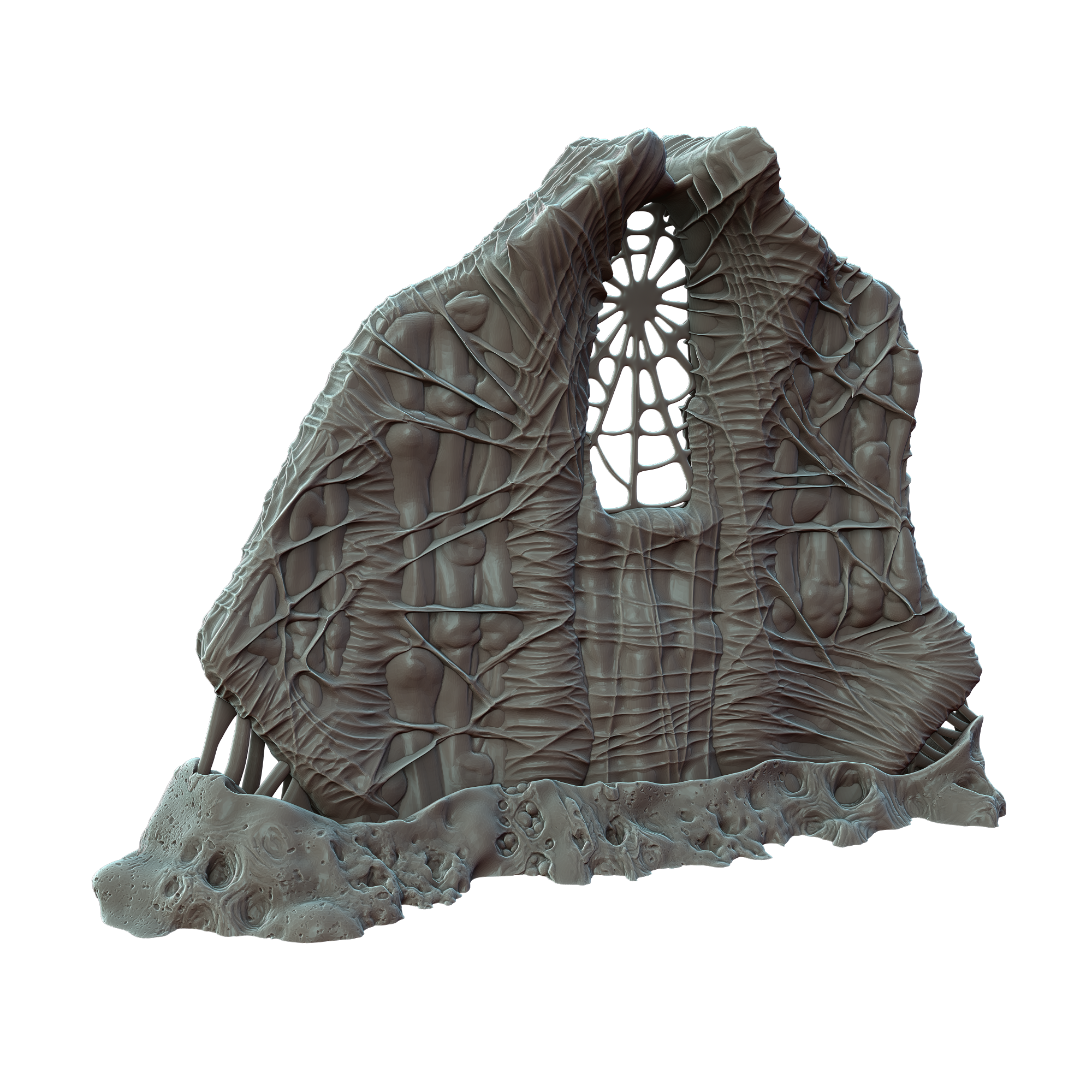Flayed Apse