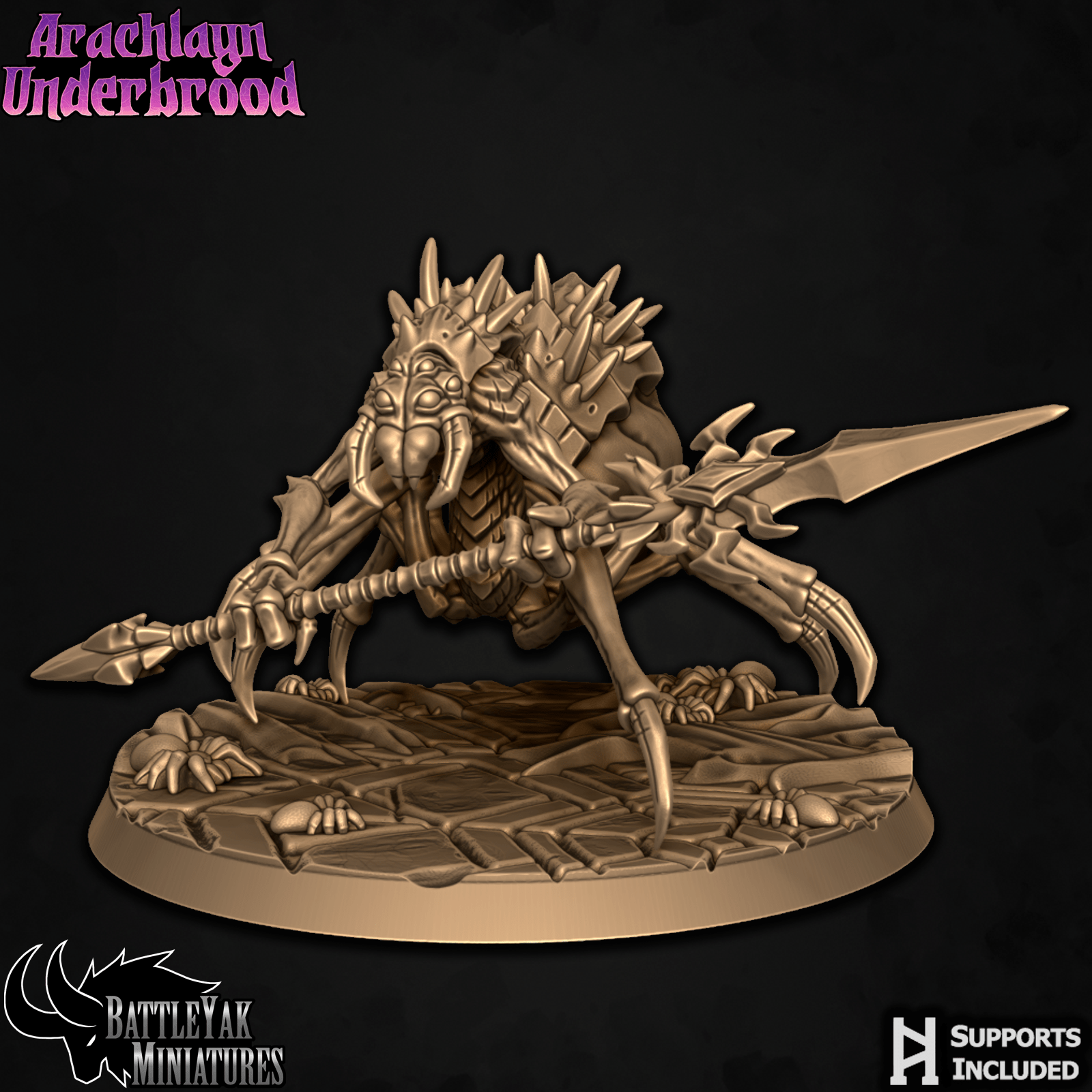 Arachlayn Truebreed A