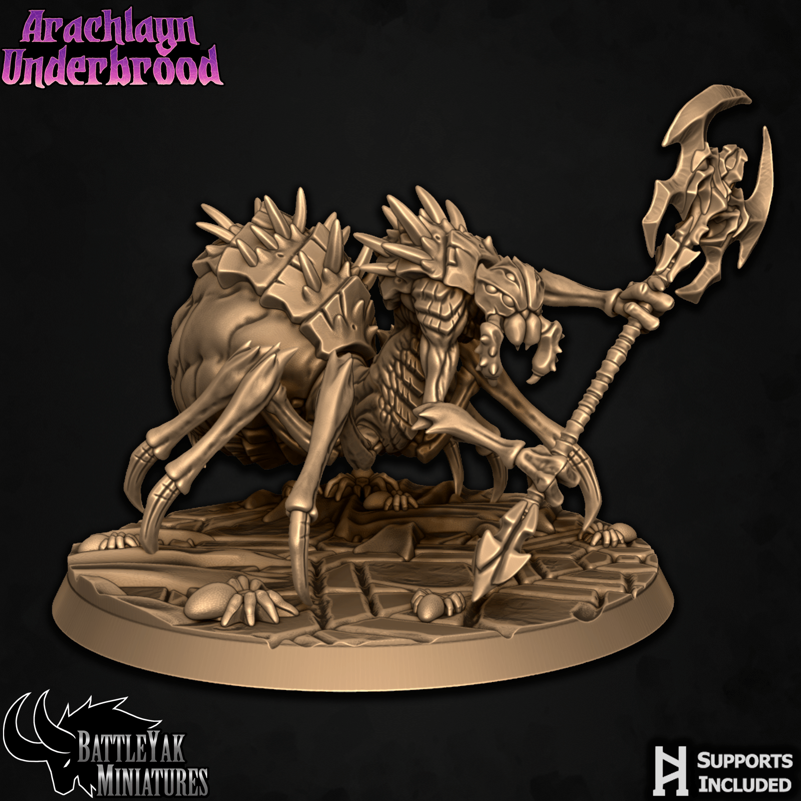 Arachlayn Truebreed B