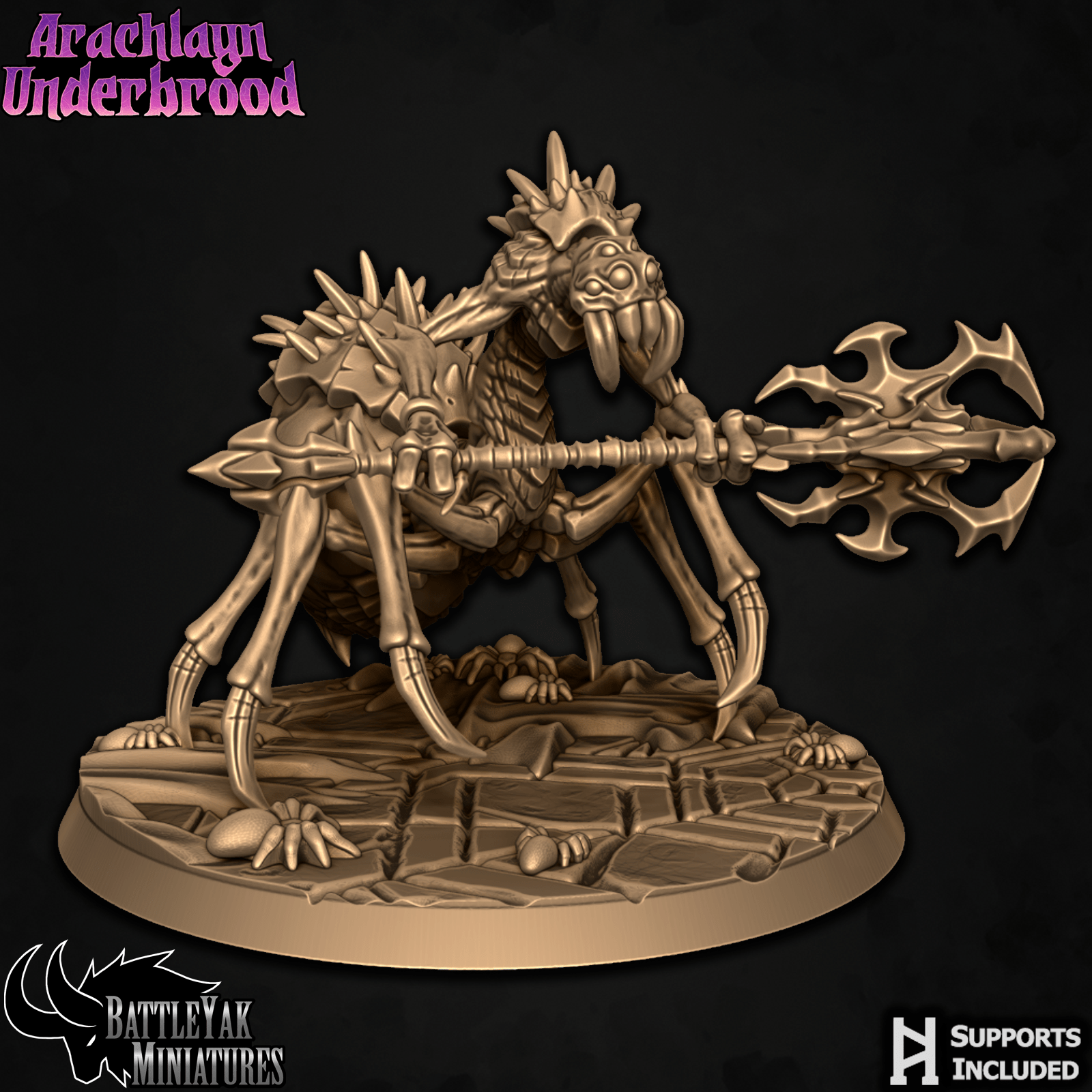 Arachlayn Truebreed C