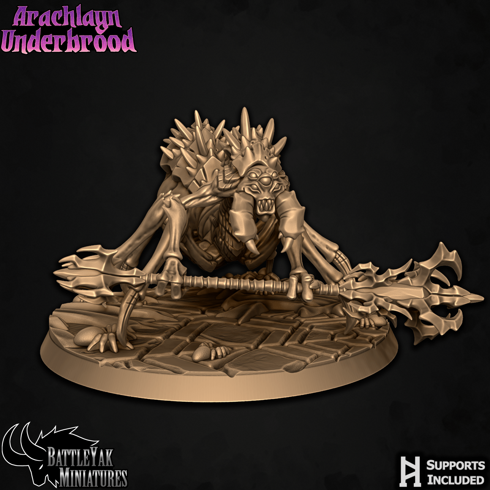 Arachlayn Truebreed D