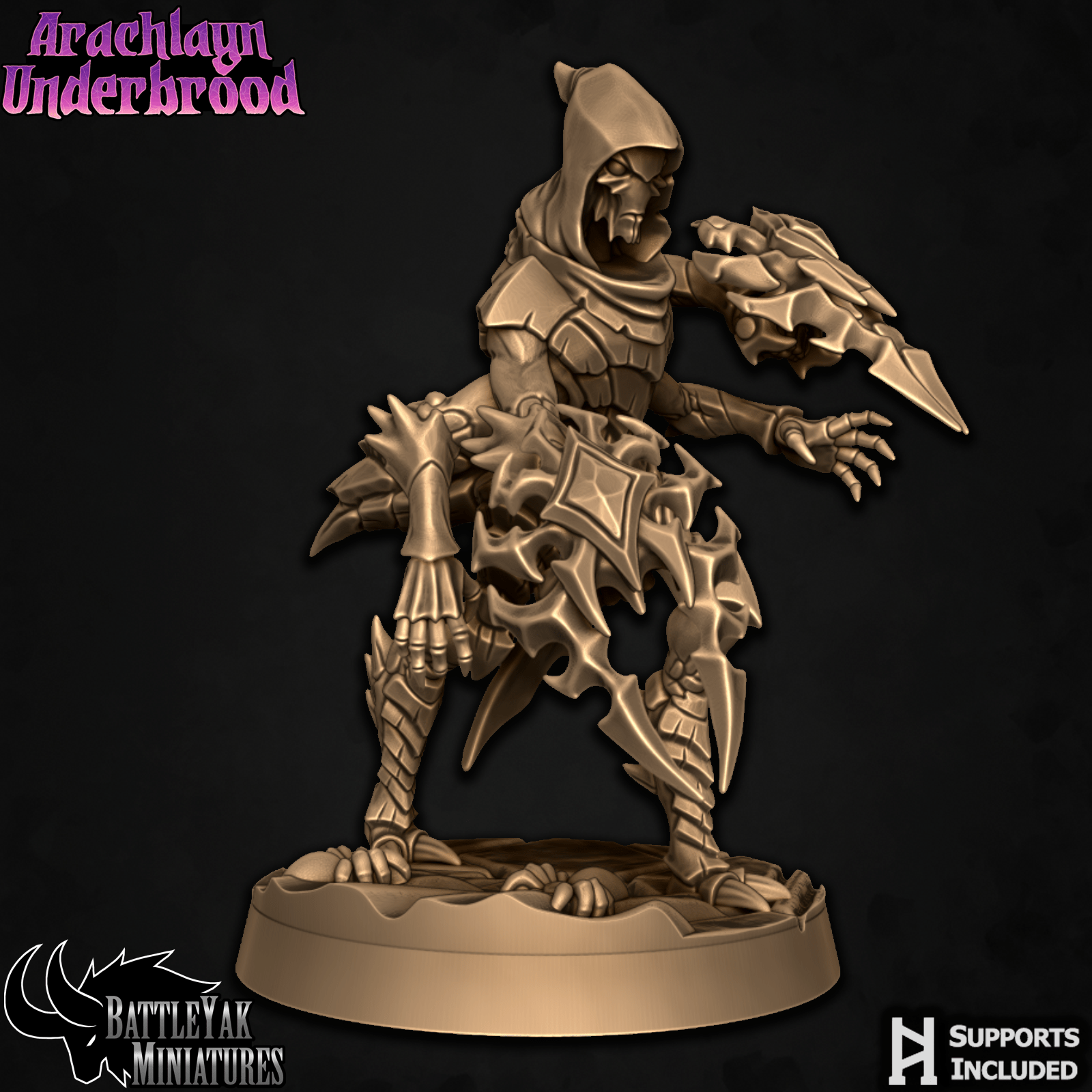 Arachlayn Infiltrator C
