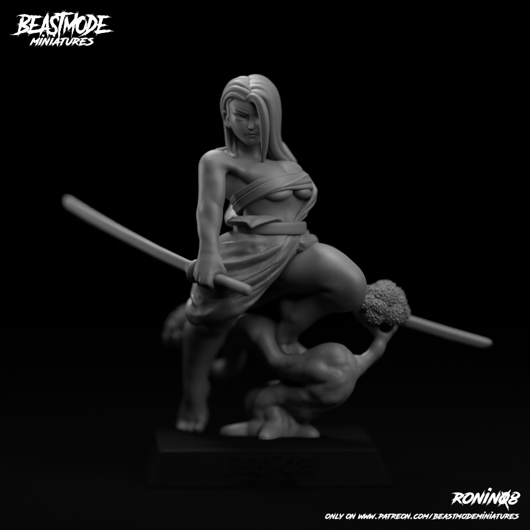 Female Samurai/Ronin_08
