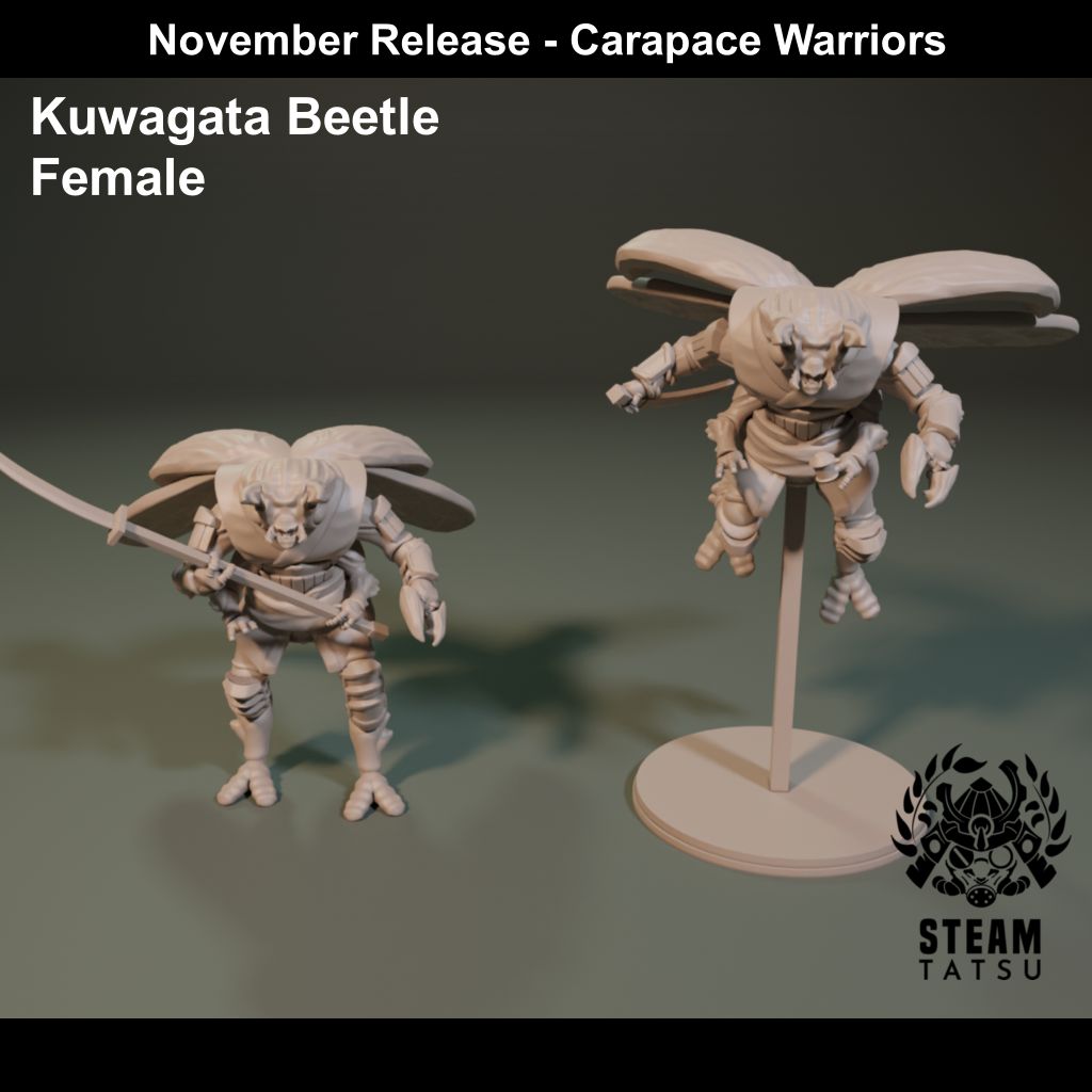 Carapace Warriors - Female Kuwagata Beetle