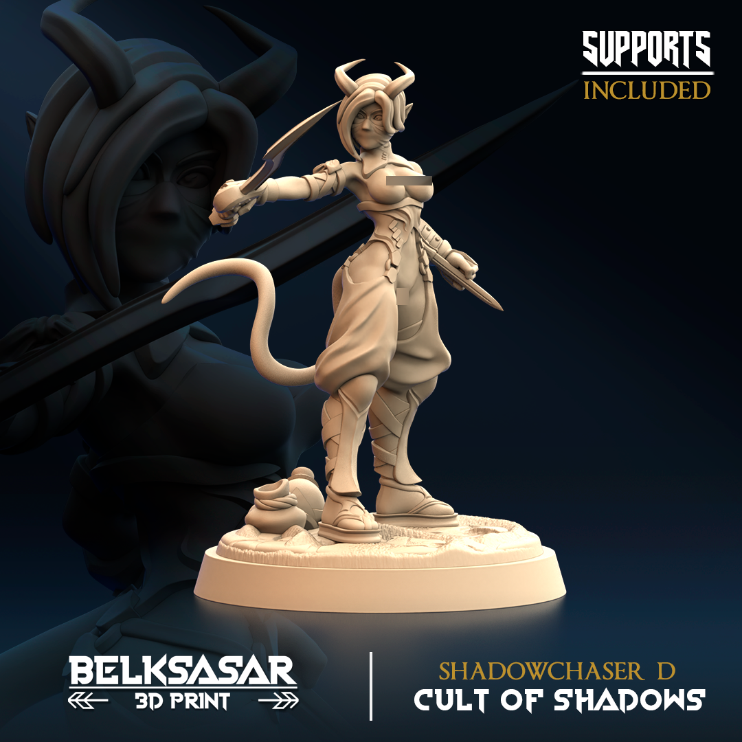 Shadowchaser D Variant 2