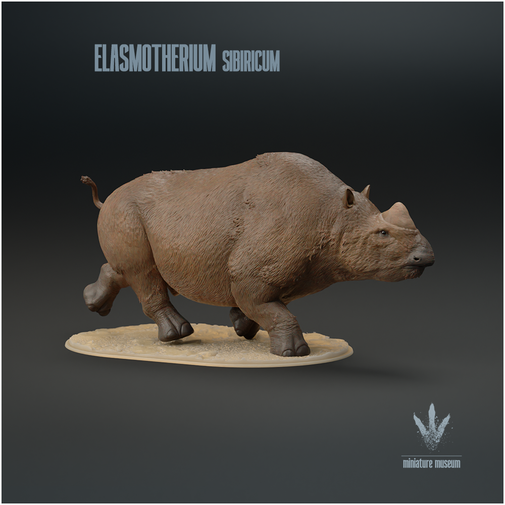 Elasmotherium sibiricum : Run