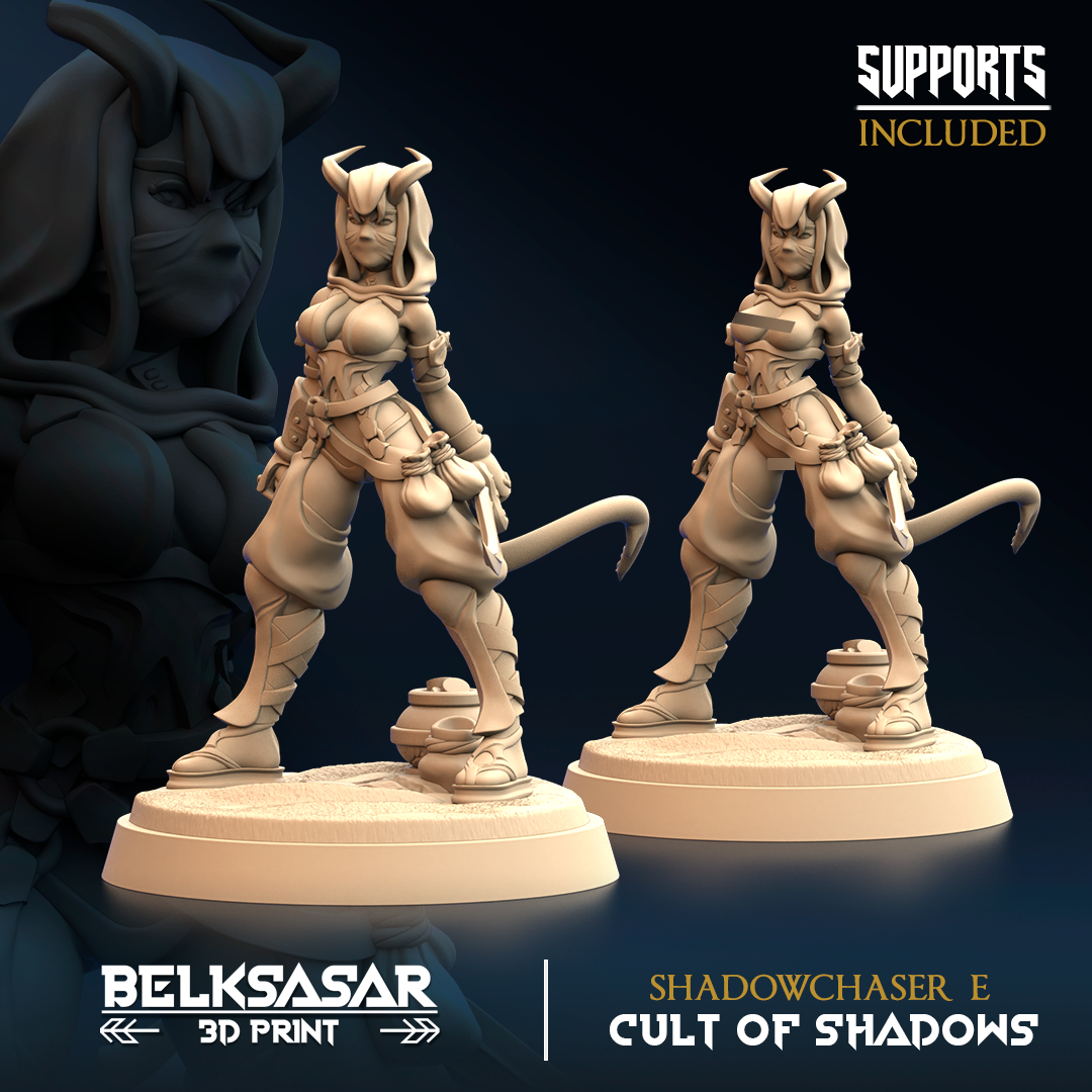 Shadowchaser E All Variants