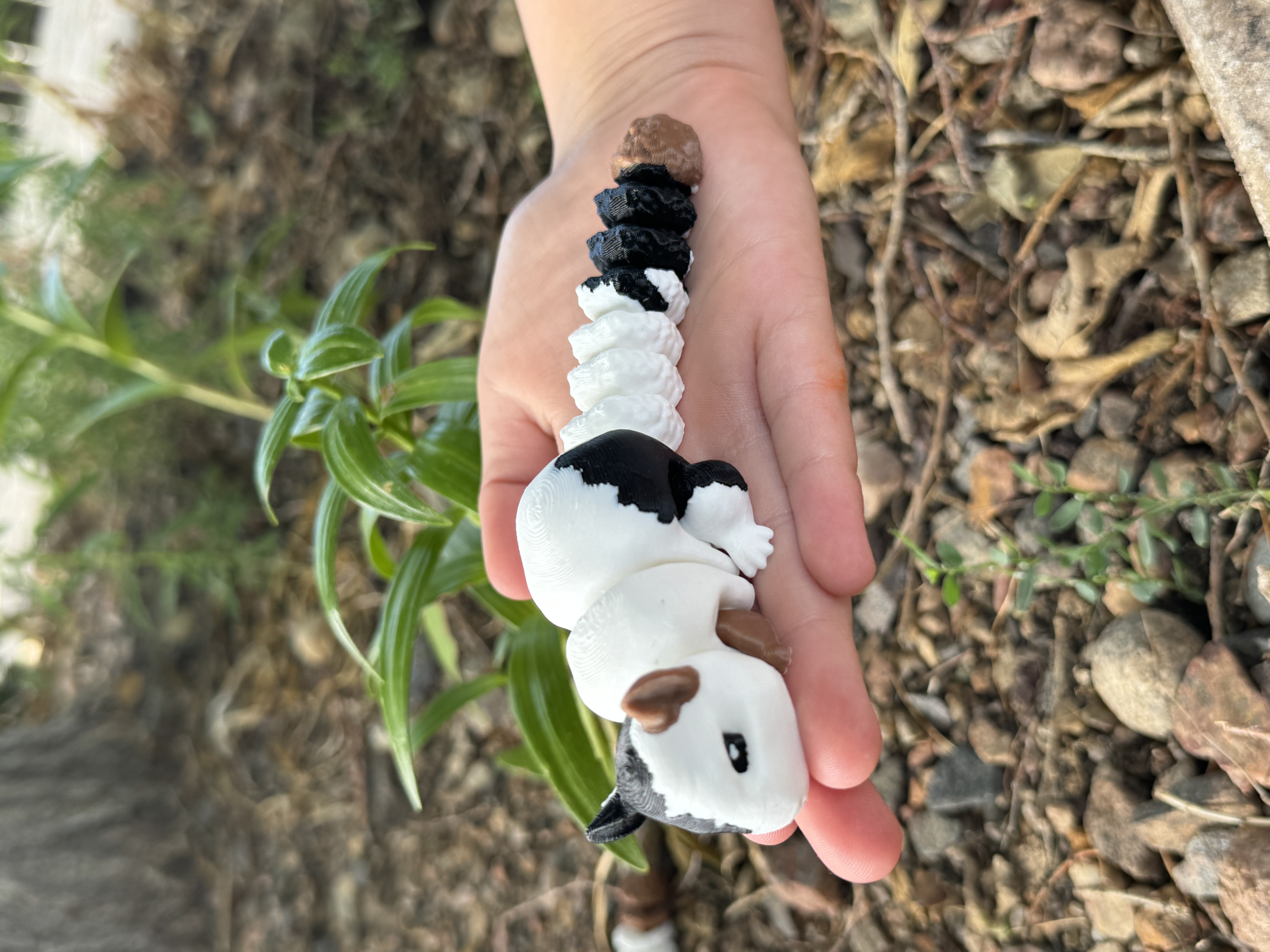 Flexi Chinchilla by Teal Cat Creative