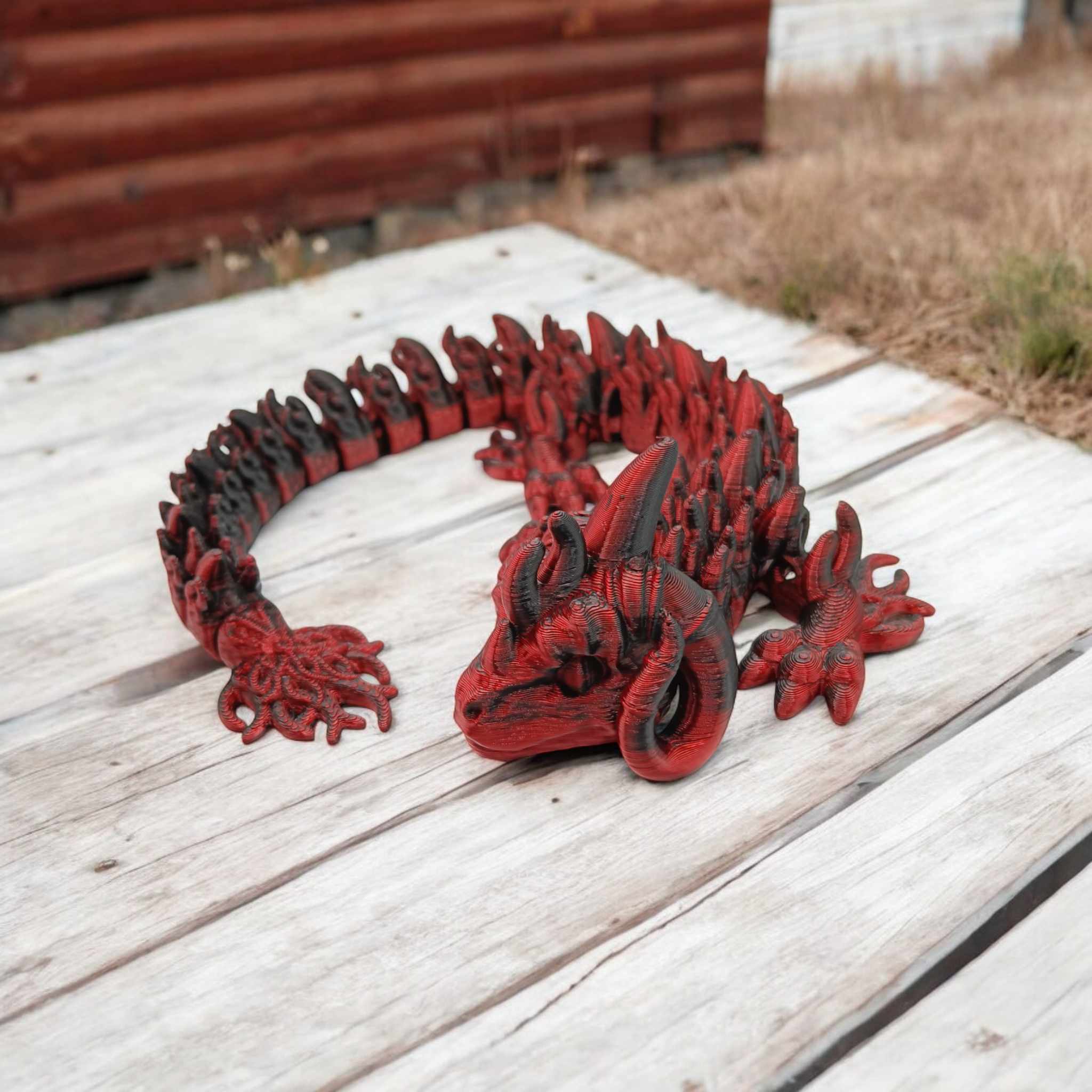 Aries Dragon Long