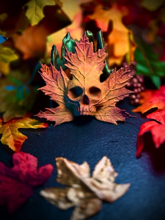The fallen Leaf