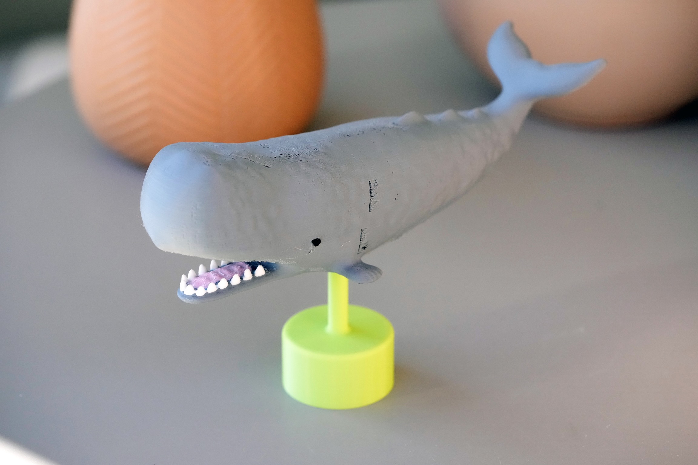Whale