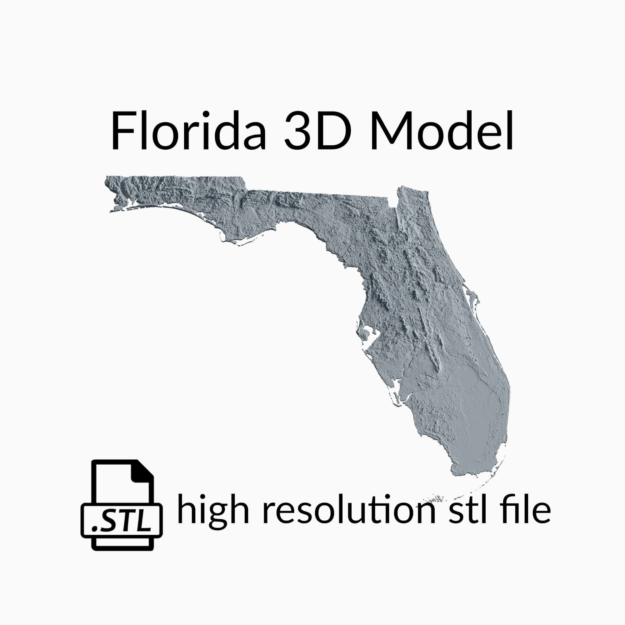 USA State of Florida Topographic Map - 3D Terrain Elevation - Relief Map - Topography of Florida