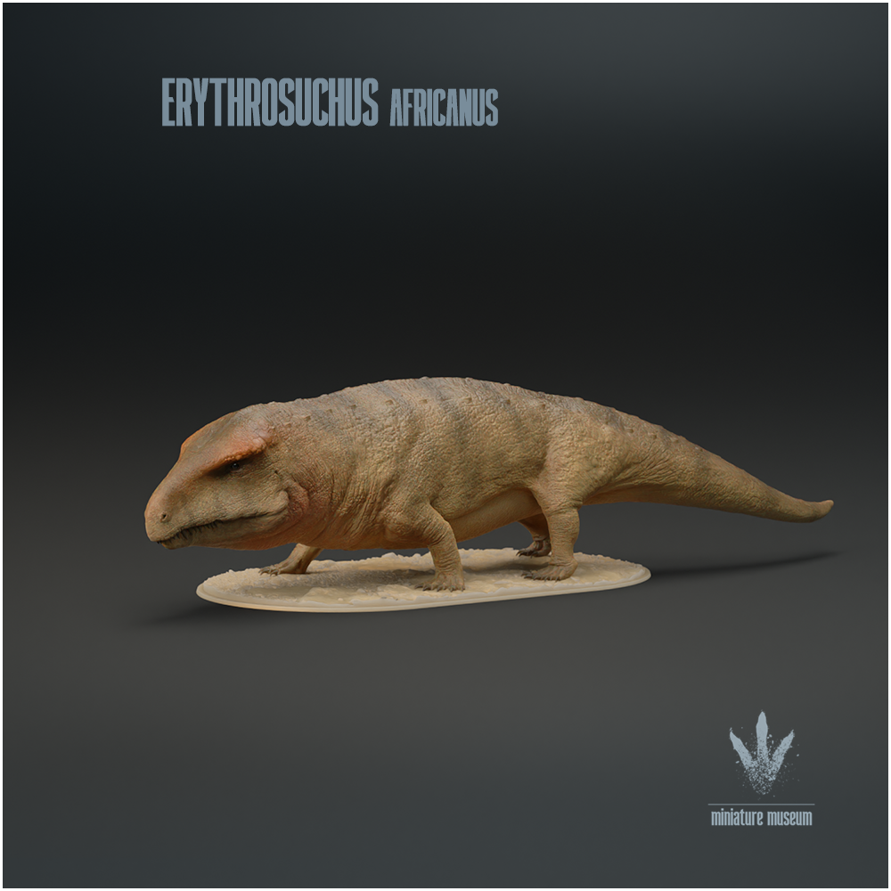 Erythrosuchus africanus : The Red Crocodile