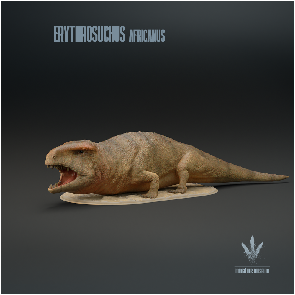 Erythrosuchus africanus : Resting