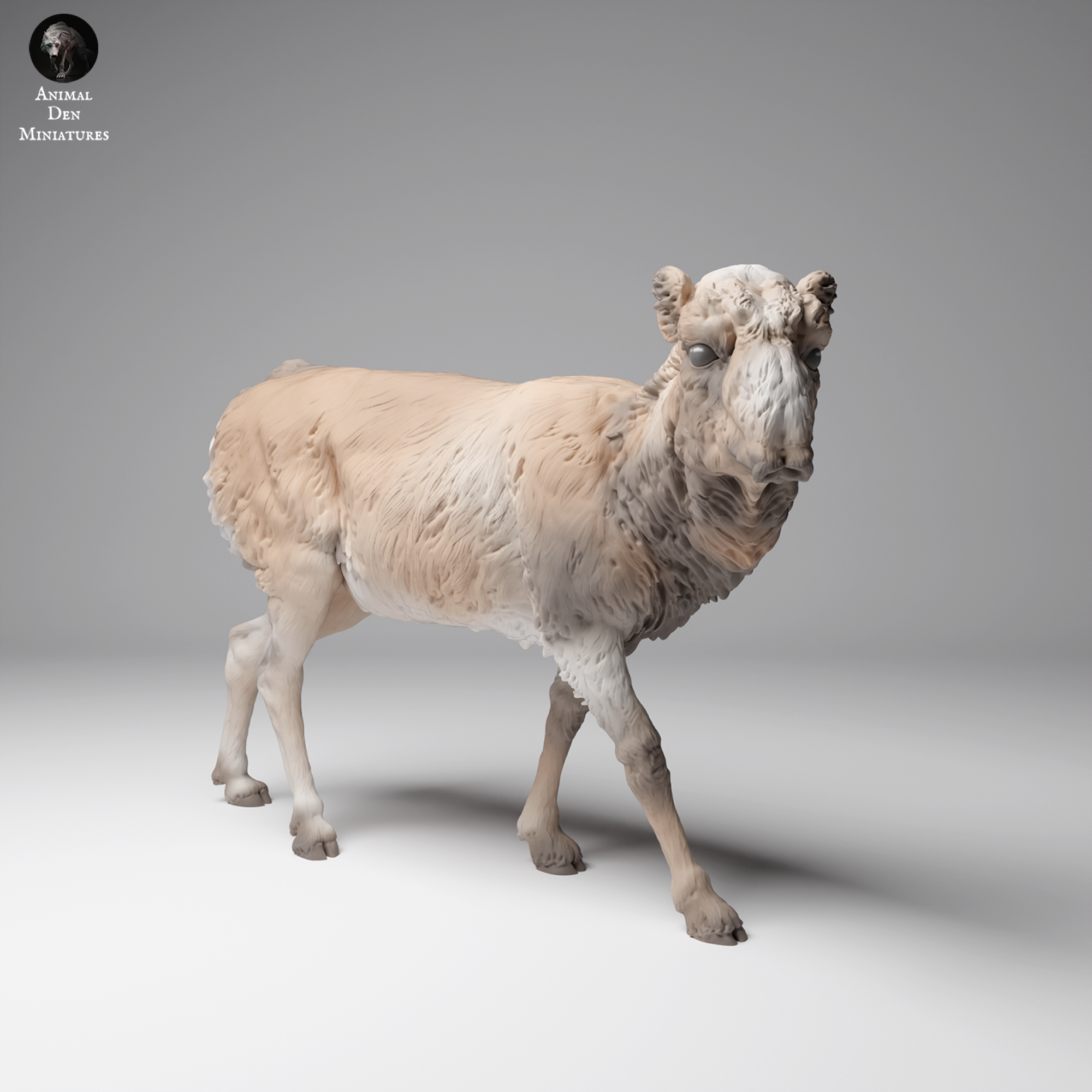 Mongolian Saiga Female - Winter Coat