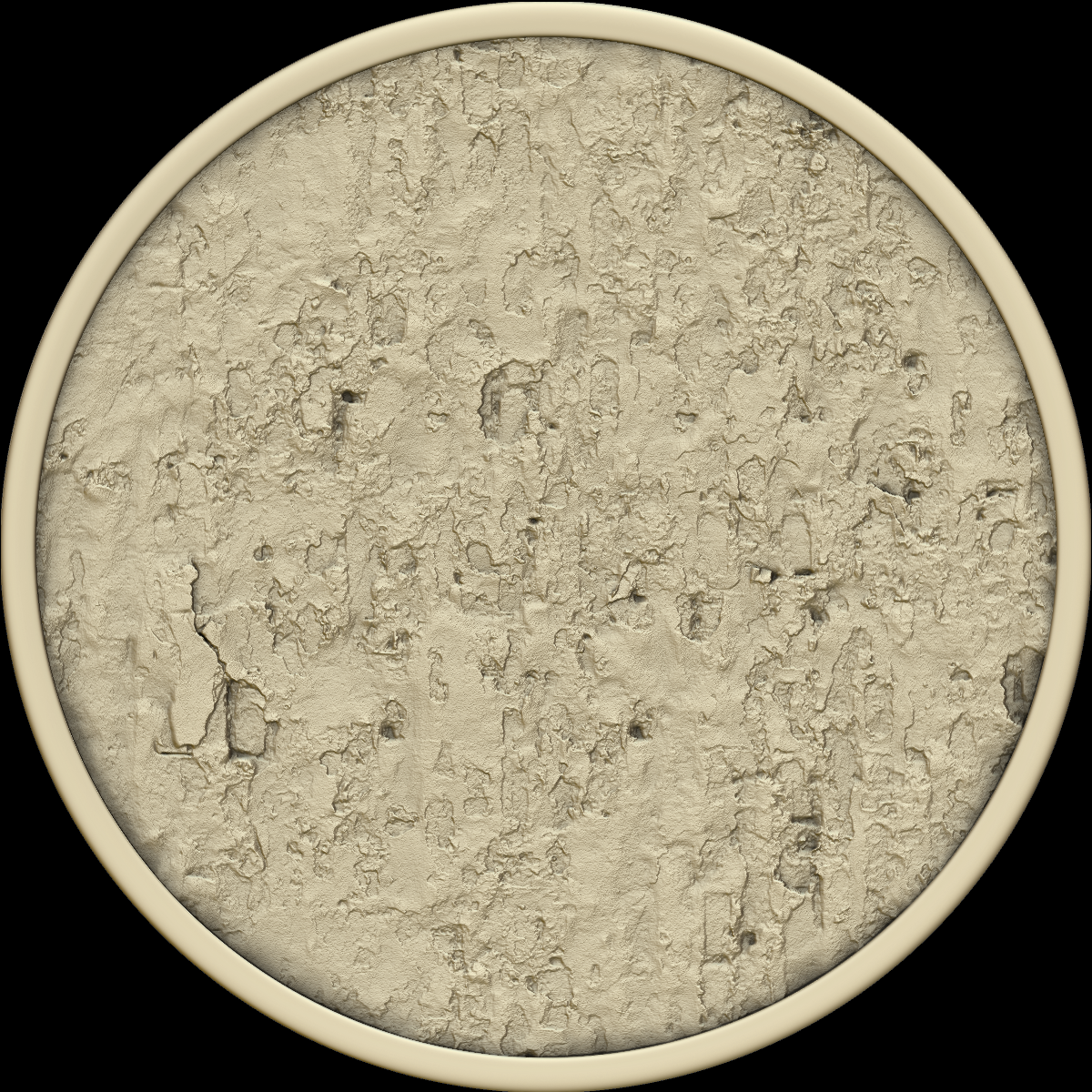 base 231
