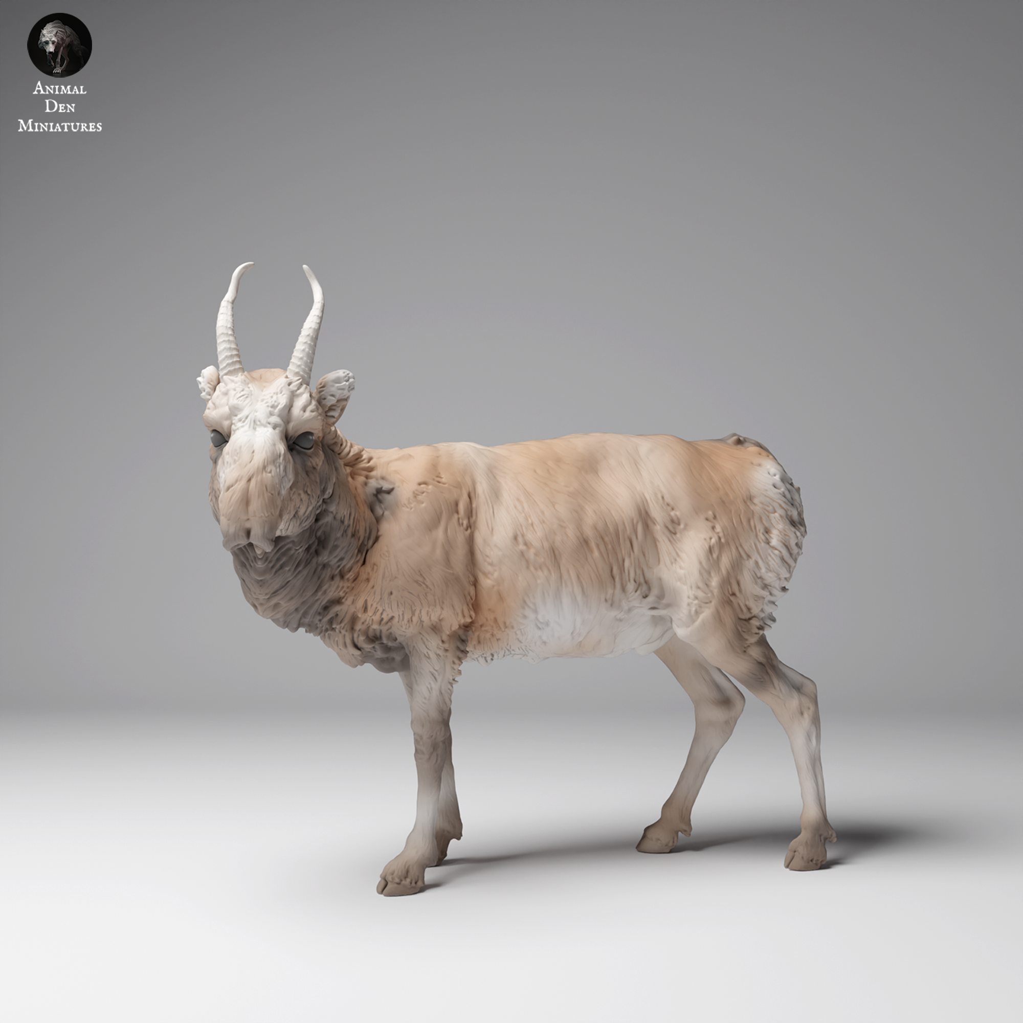 Mongolian Saiga Male