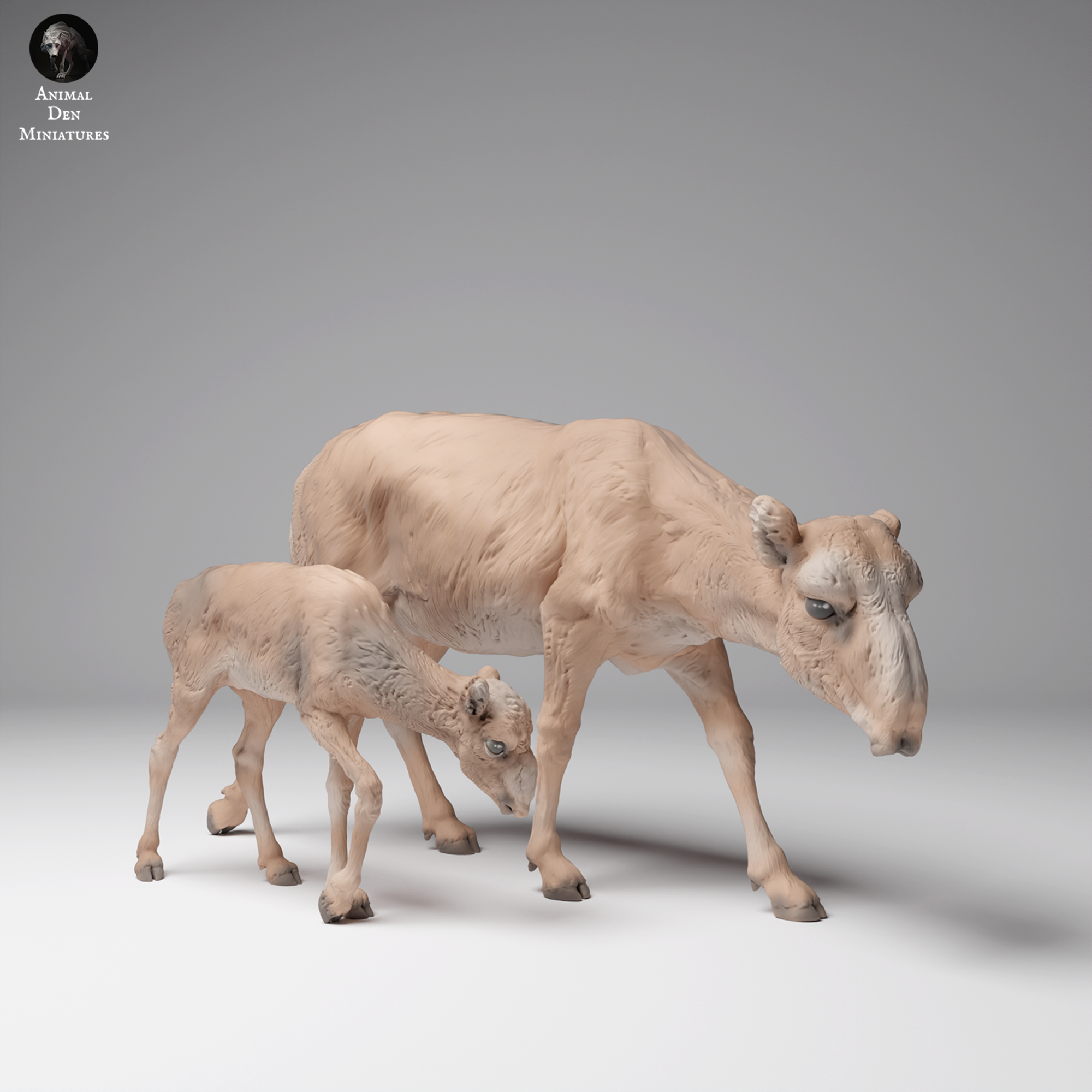 Mongolian Saiga Female and Calf