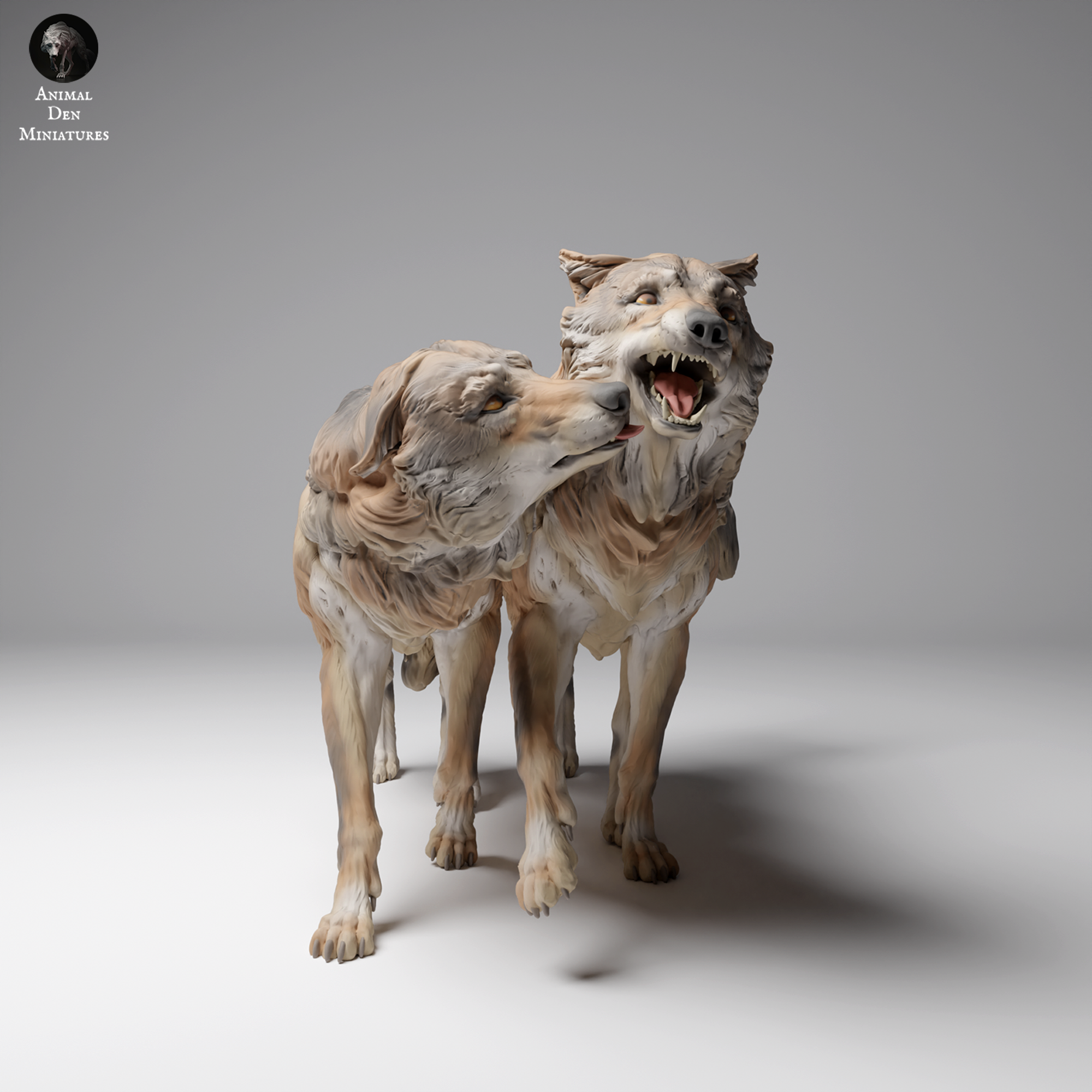 Mongolian Wolves Play