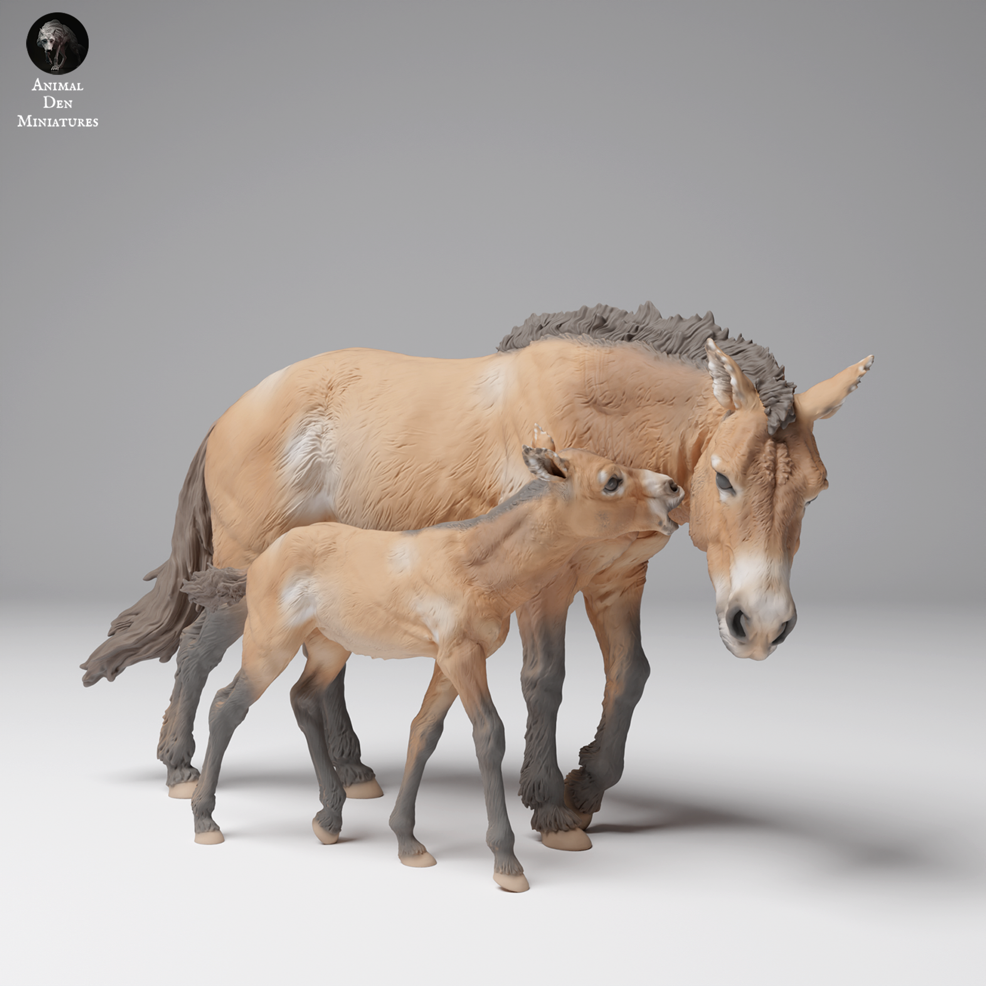 Przewalski’s Horse and Calf