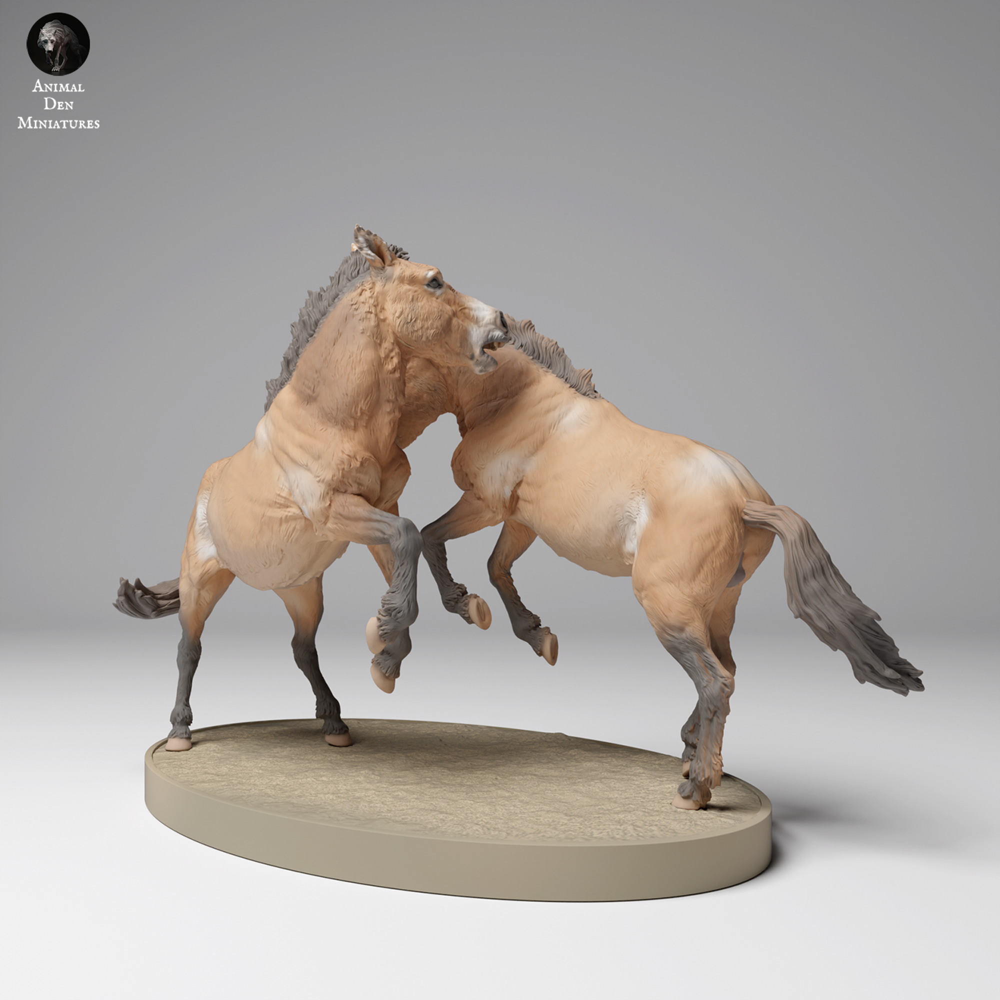 Przewalki’s Horses Fight