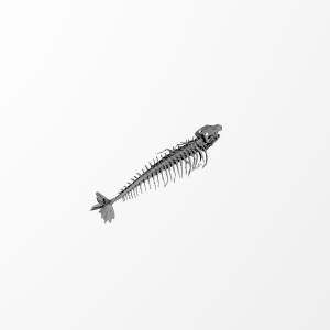 Eel Cod Skeleton Anatomy – Highly Detailed Fish Skeletal 3D Model for Education & 3D Printing