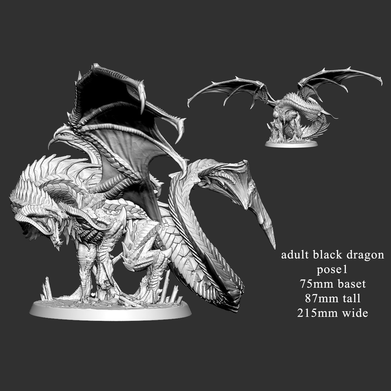 Exclusive BLACK DRAGON (Young, Adolescent, Adult, Elder) (7 poses