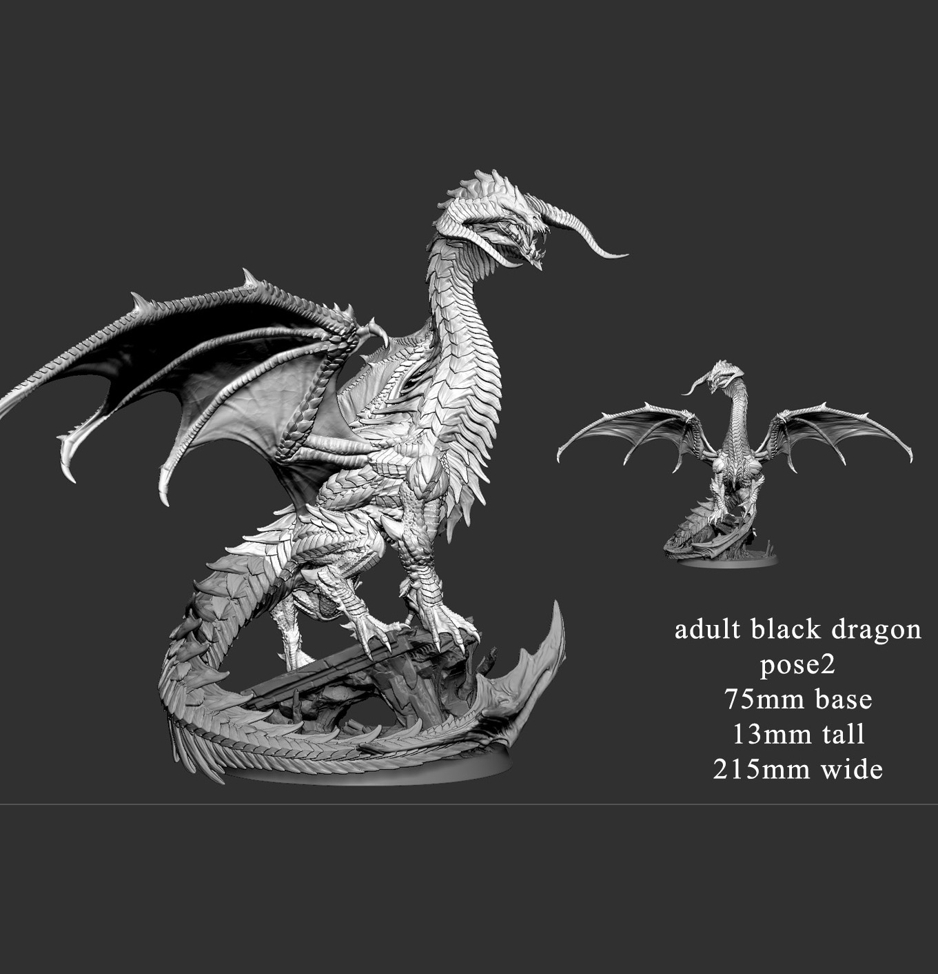 Exclusive BLACK DRAGON (Young, Adolescent, Adult, Elder) (7 poses