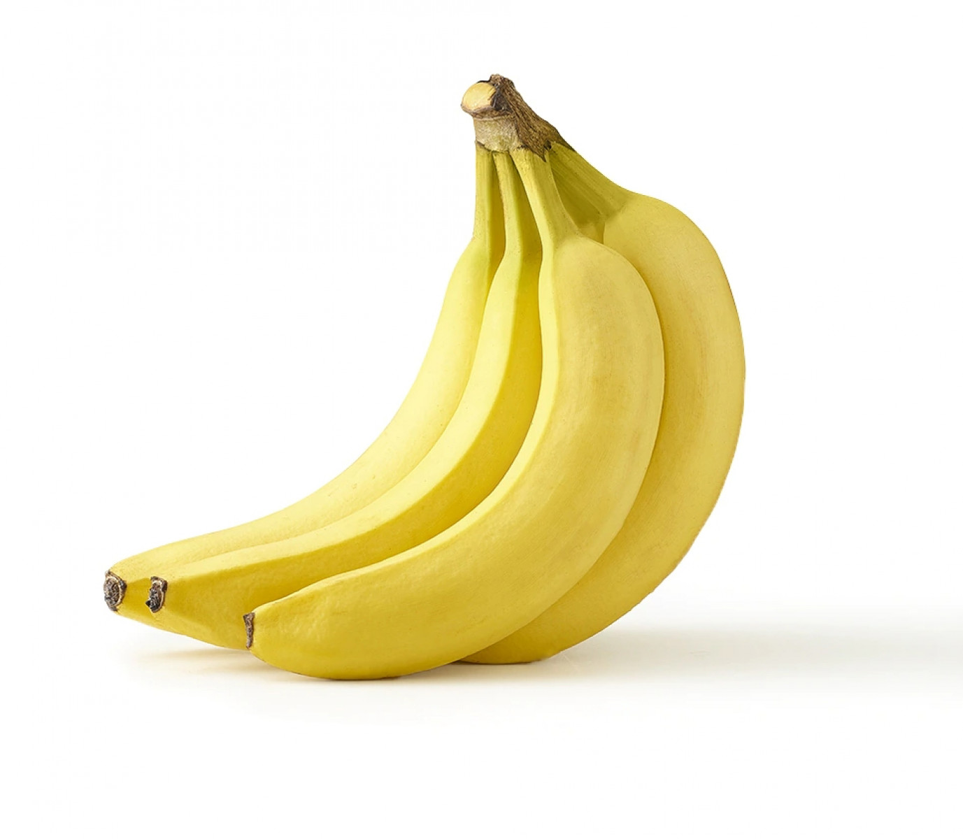 MyMiniFactory banner for @bananas