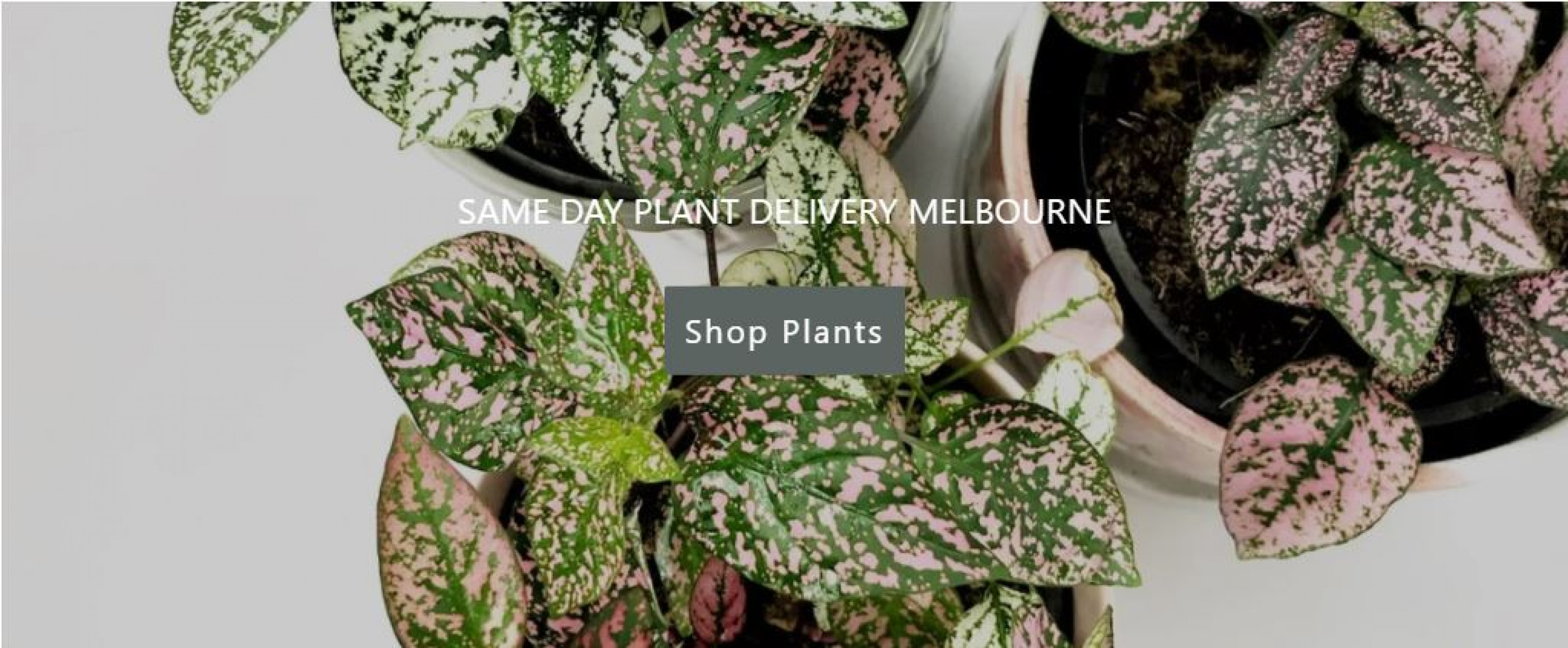 MyMiniFactory banner for @Garner