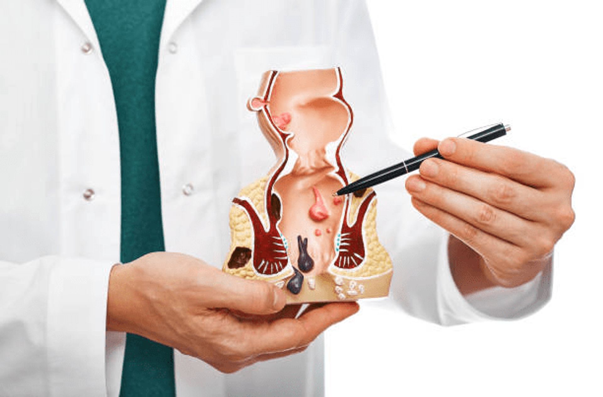 MyMiniFactory banner for @Proctologist